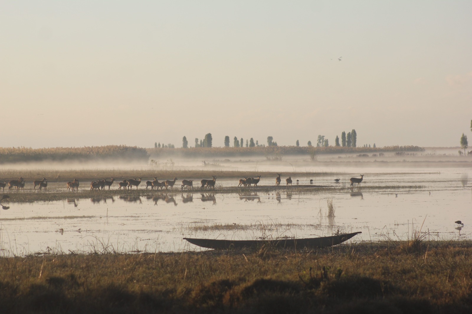 Gift Tour and Safaris Home